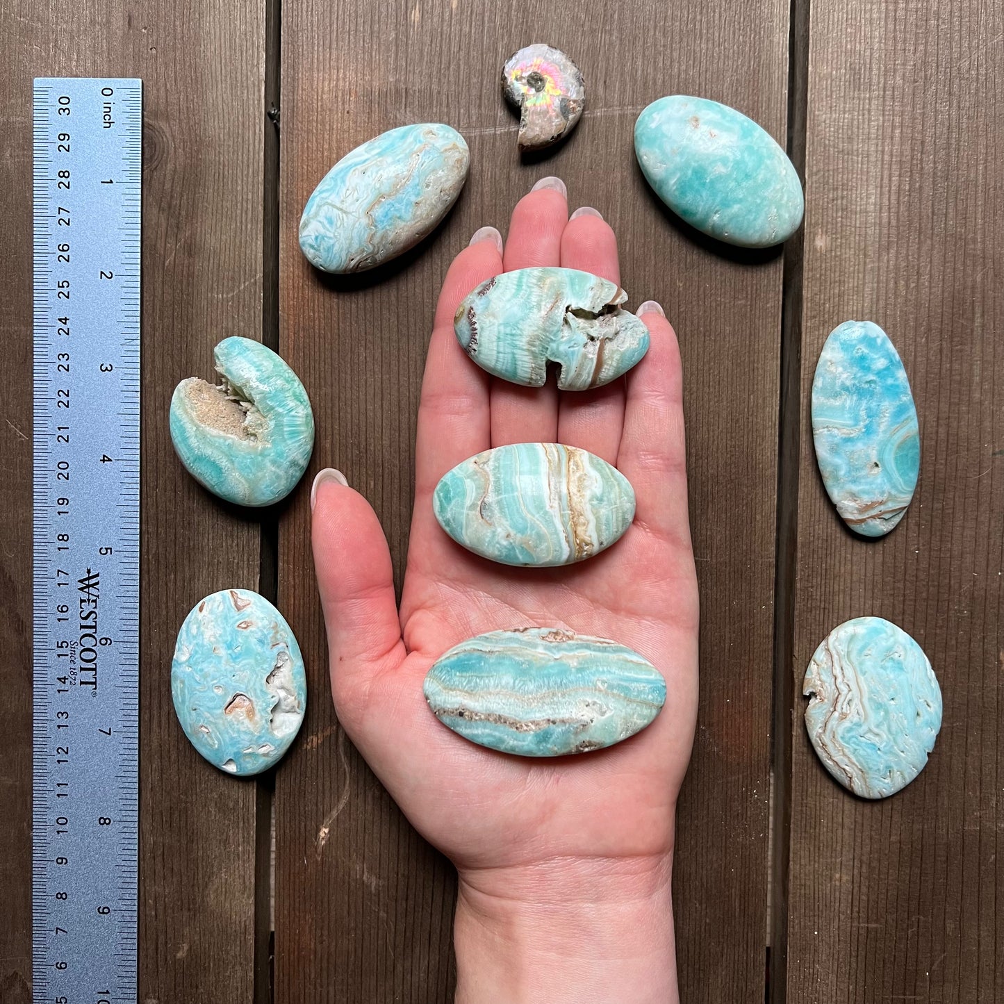 Mystery Palm Stones
