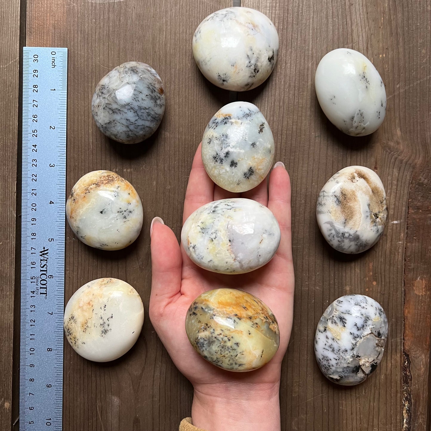 Mystery Palm Stones