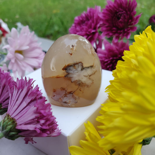 Flower Agate Free Form (#12) - Simply Affinity