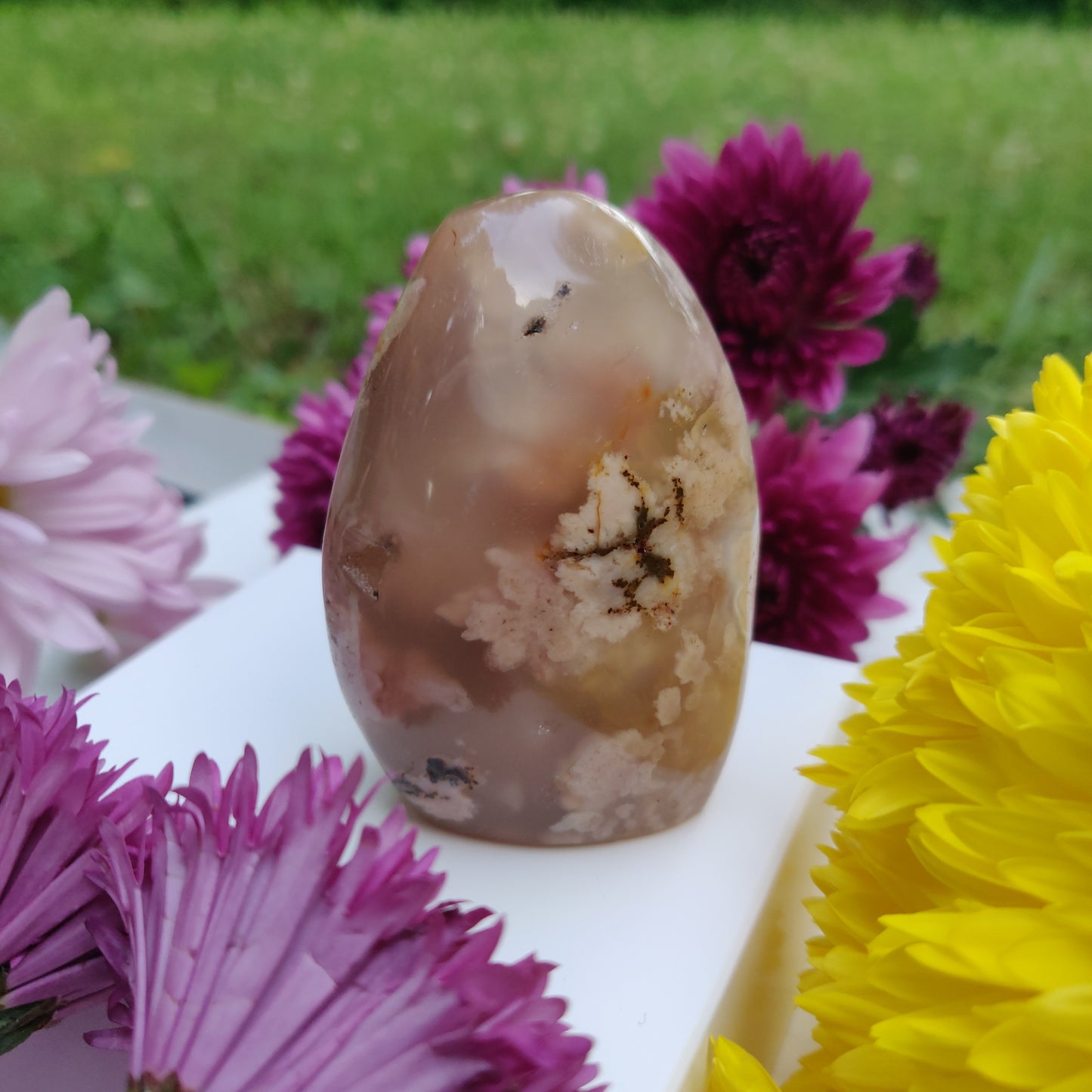 Flower Agate Free Form (#11) - Simply Affinity