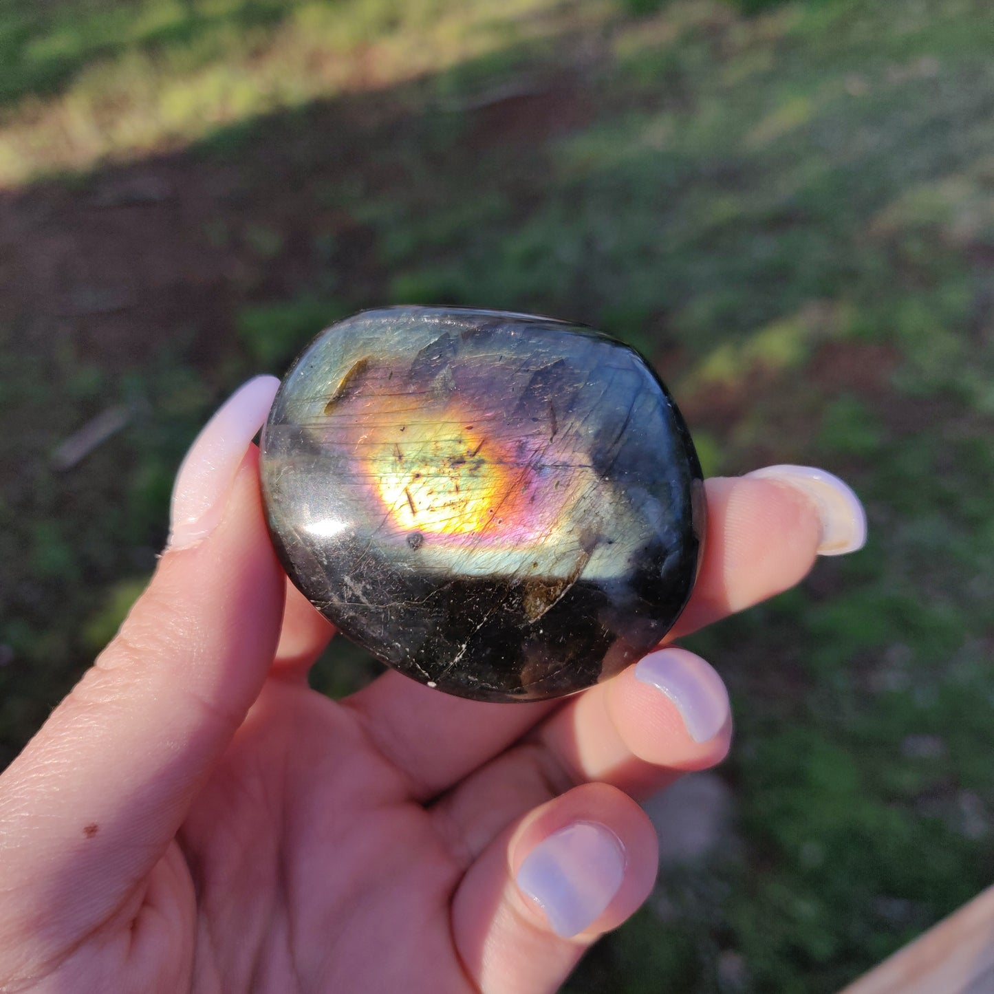 Labradorite Palm Stone (#109)