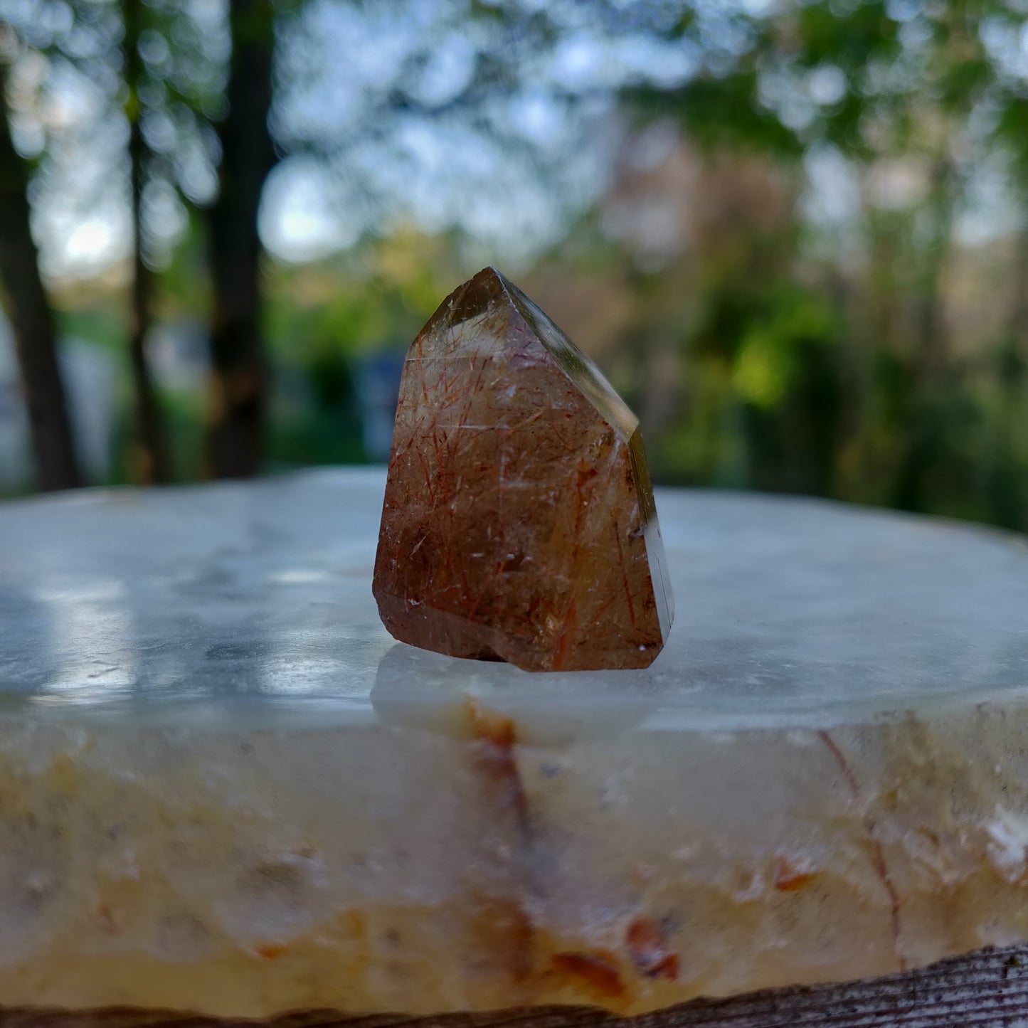 Rutilated Smoky Quartz Point (#6)