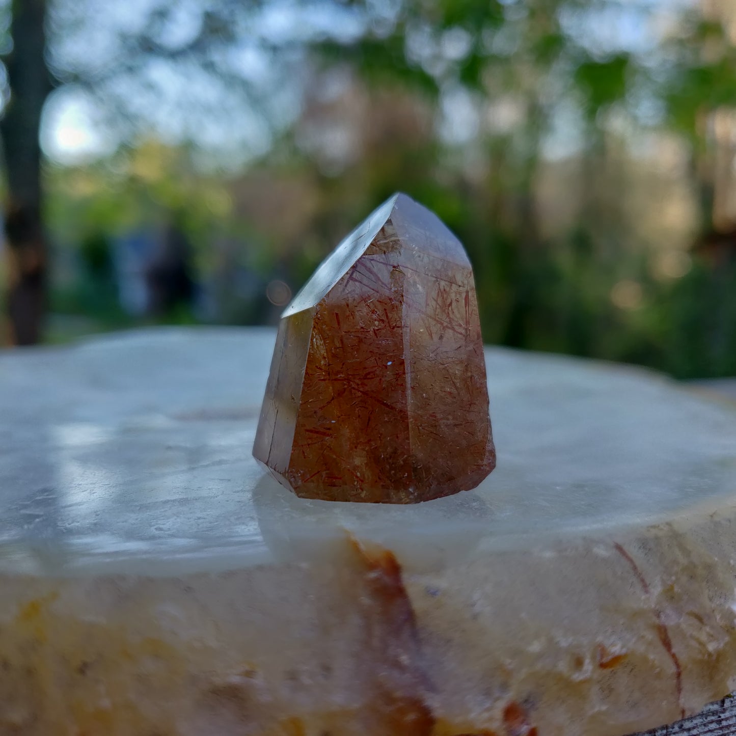 Rutilated Smoky Quartz Point (#6)