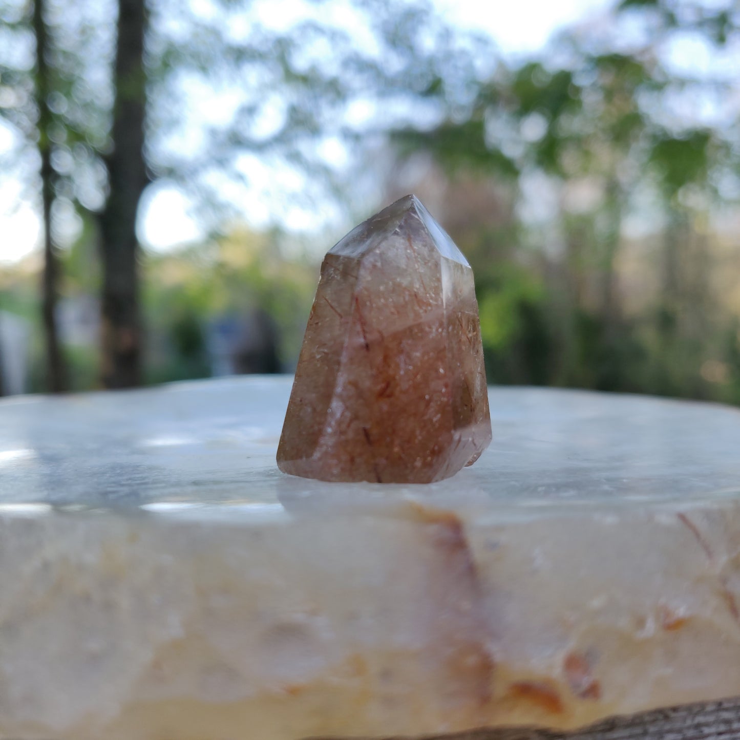 Rutilated Smoky Quartz Point (#6)