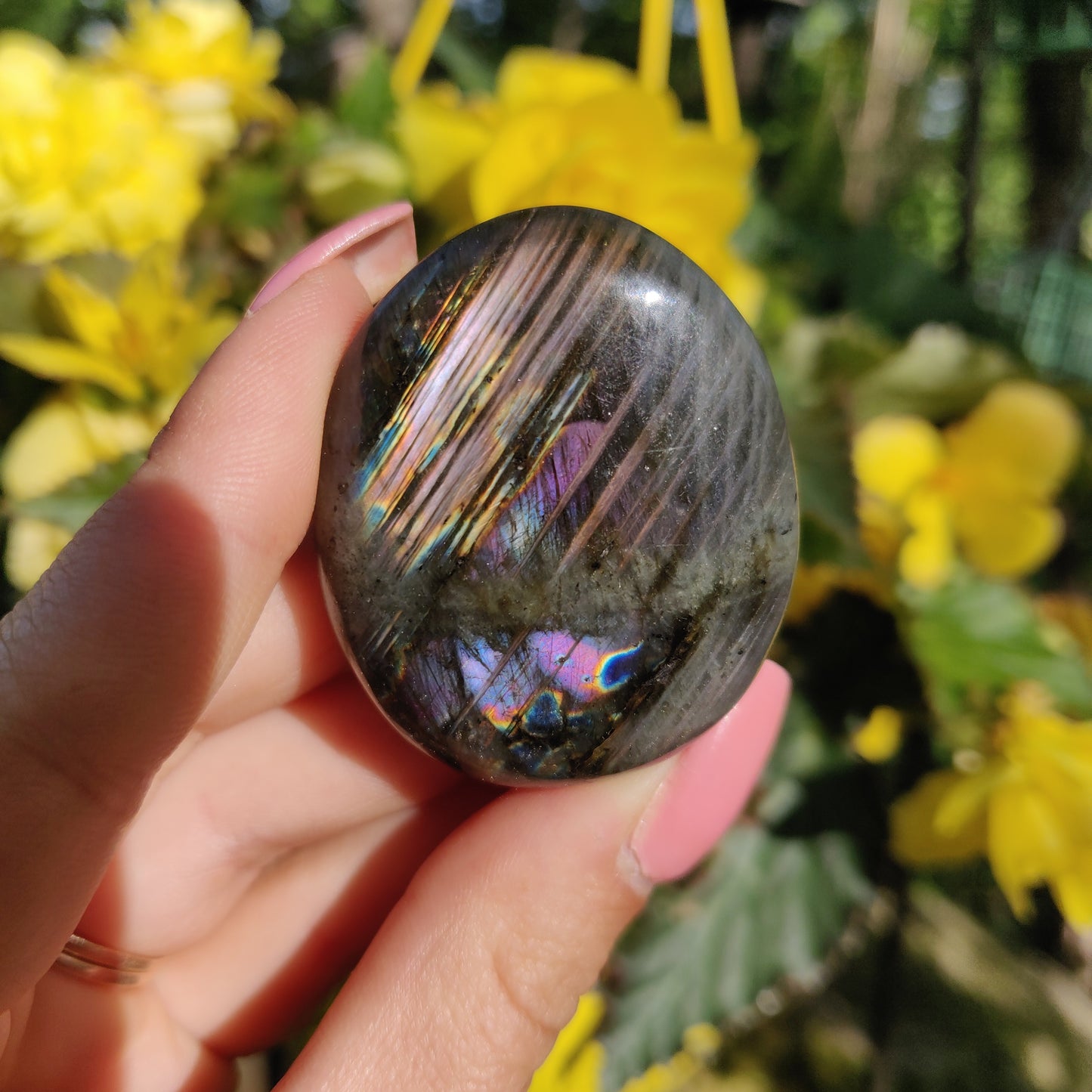 Labradorite Palm Stone (#5)