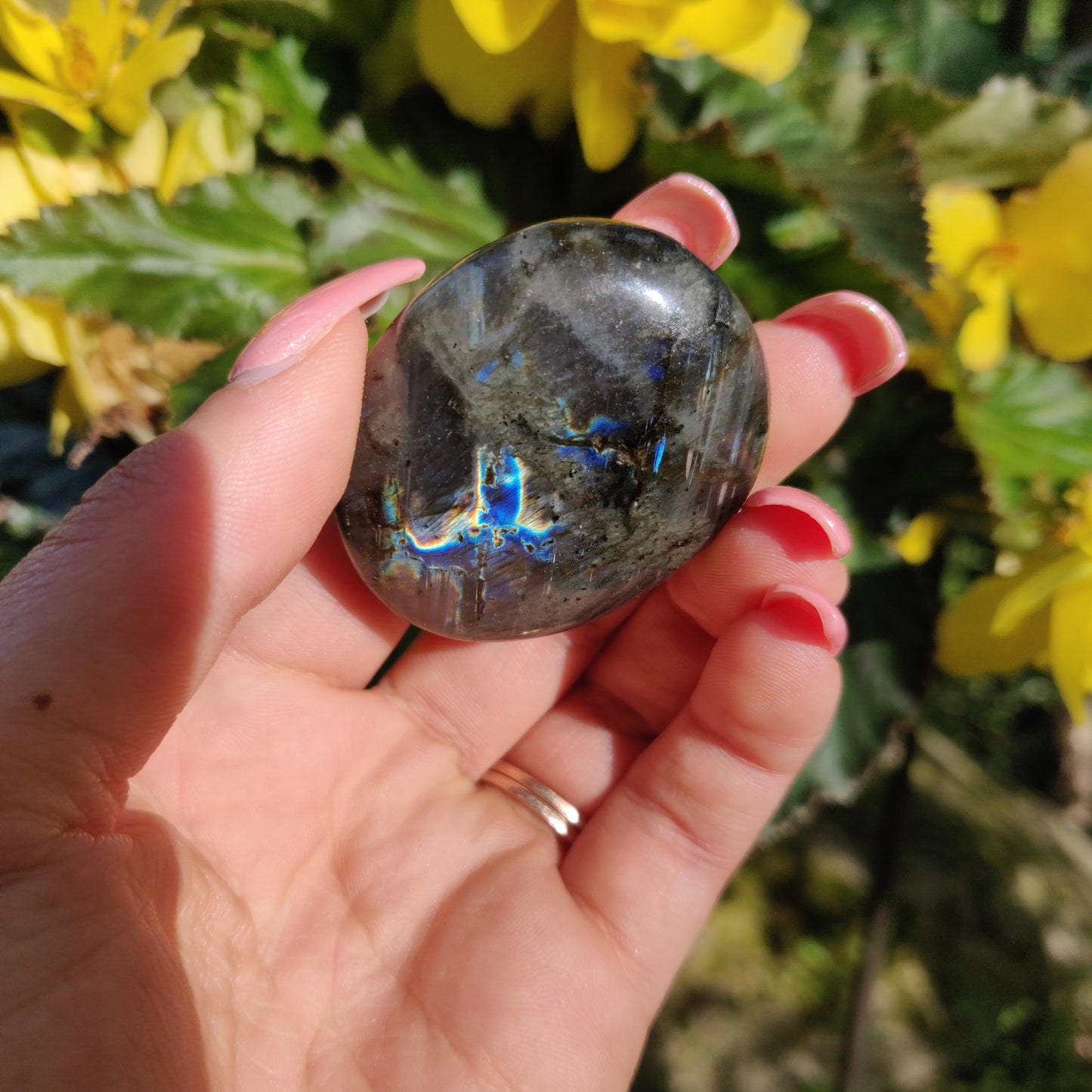 Labradorite Palm Stone (#5)