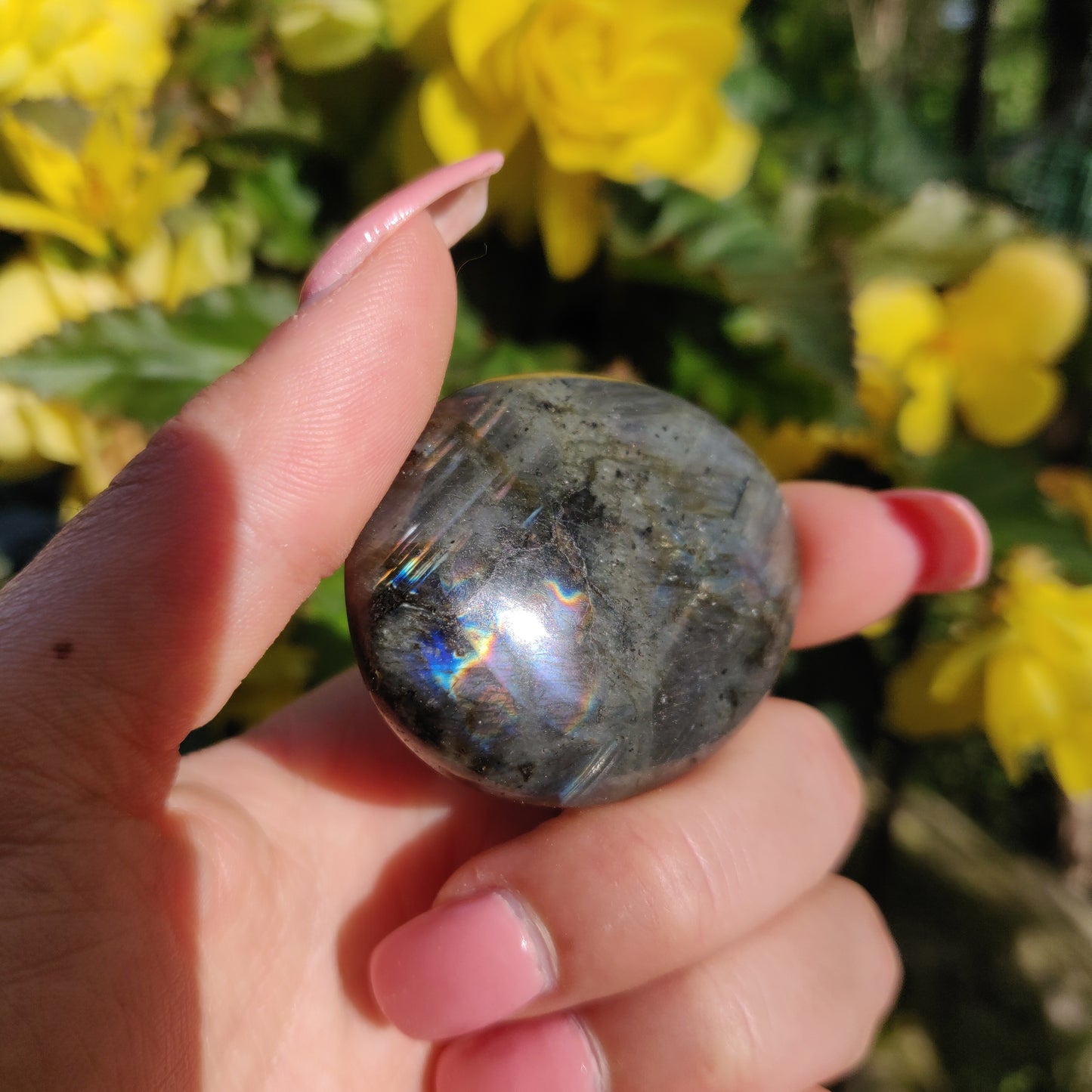 Labradorite Palm Stone (#5)