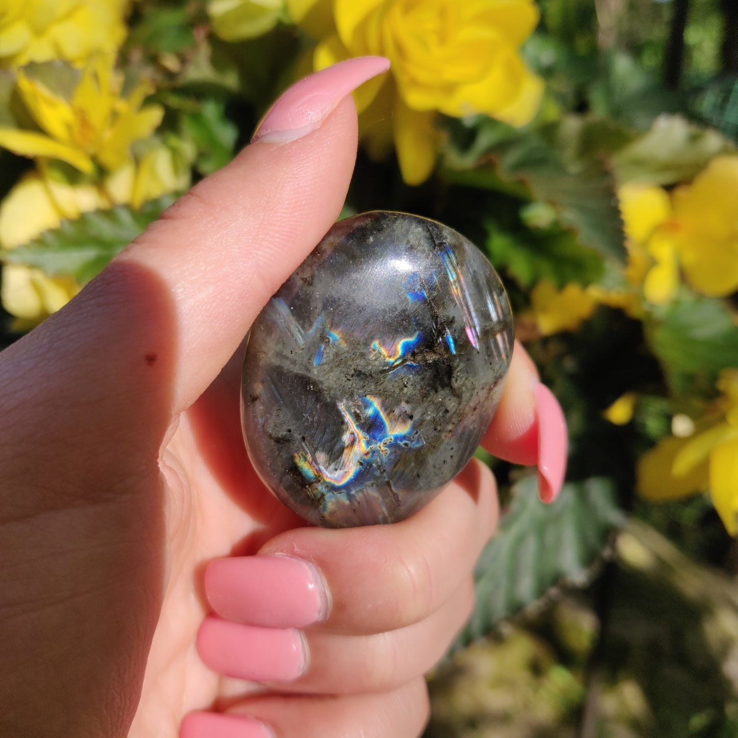 Labradorite Palm Stone (#5)