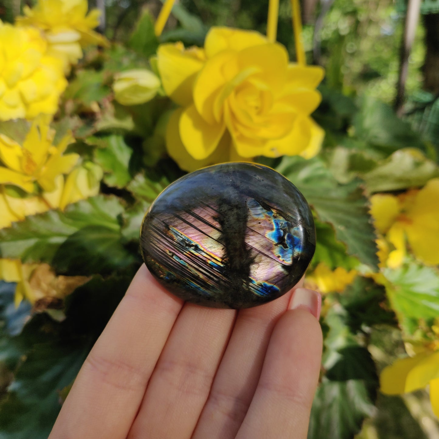 Labradorite Palm Stone (#5)