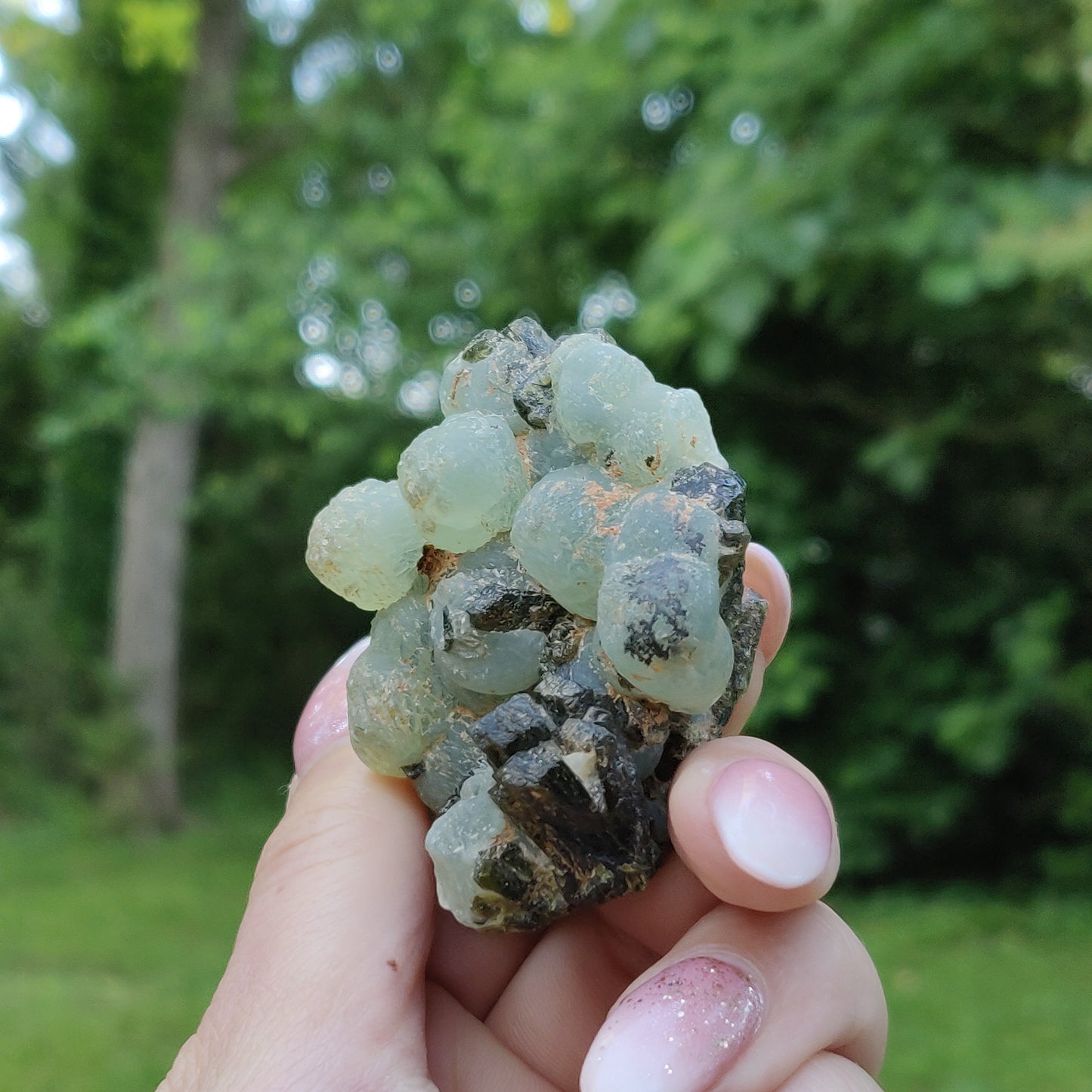 Prehnite Specimen in Epidote Matrix (#3)