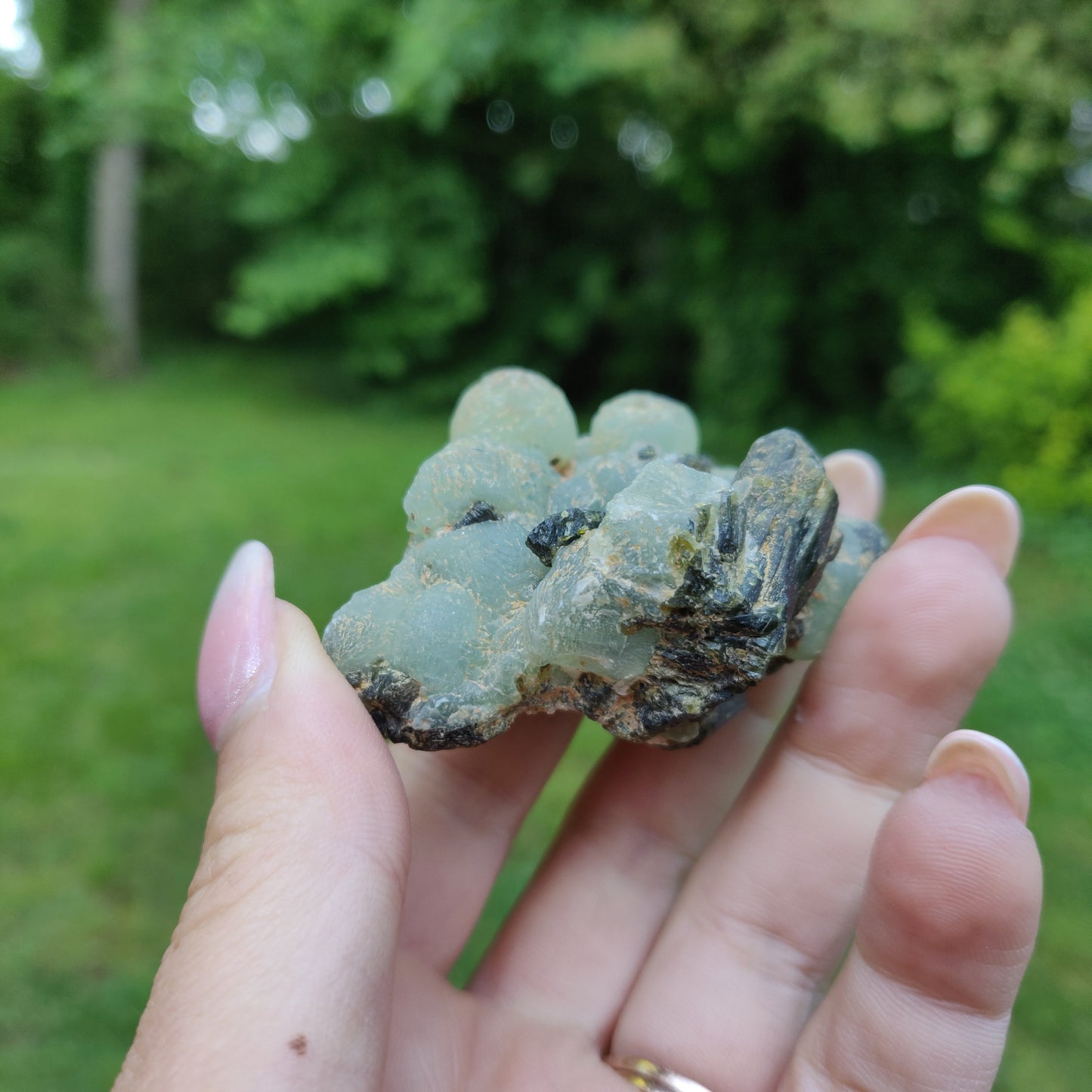 Prehnite Specimen in Epidote Matrix (#3)