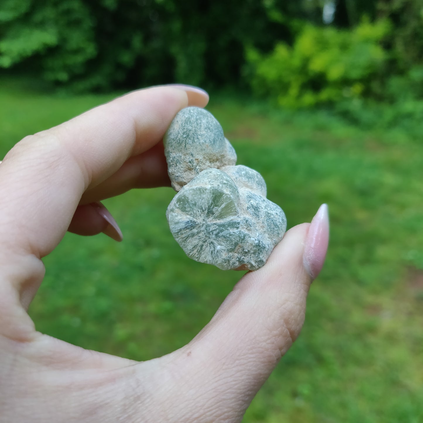 Prehnite Specimen (#1)