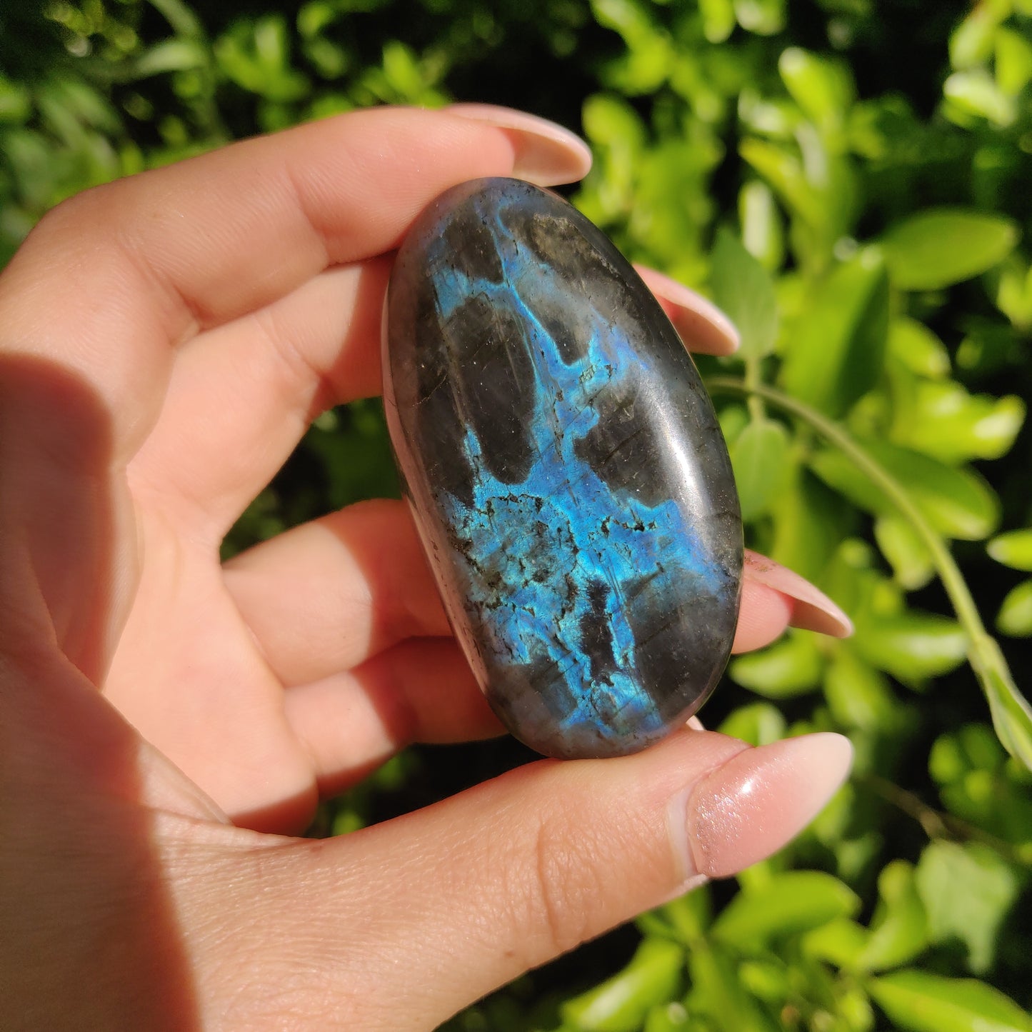 Labradorite Palm Stone (#M15)