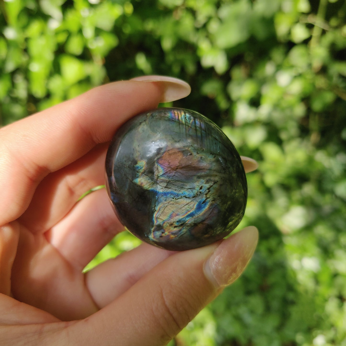 Labradorite Palm Stone (#M14)