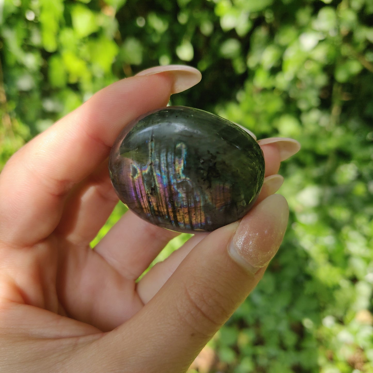 Labradorite Palm Stone (#M14)