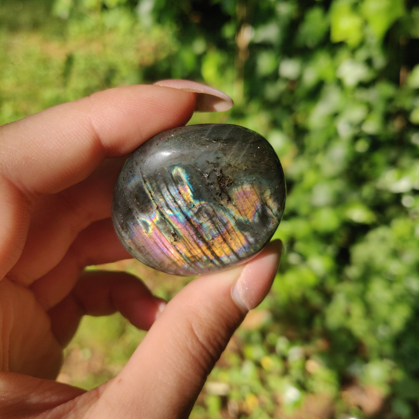 Labradorite Palm Stone (#M14)