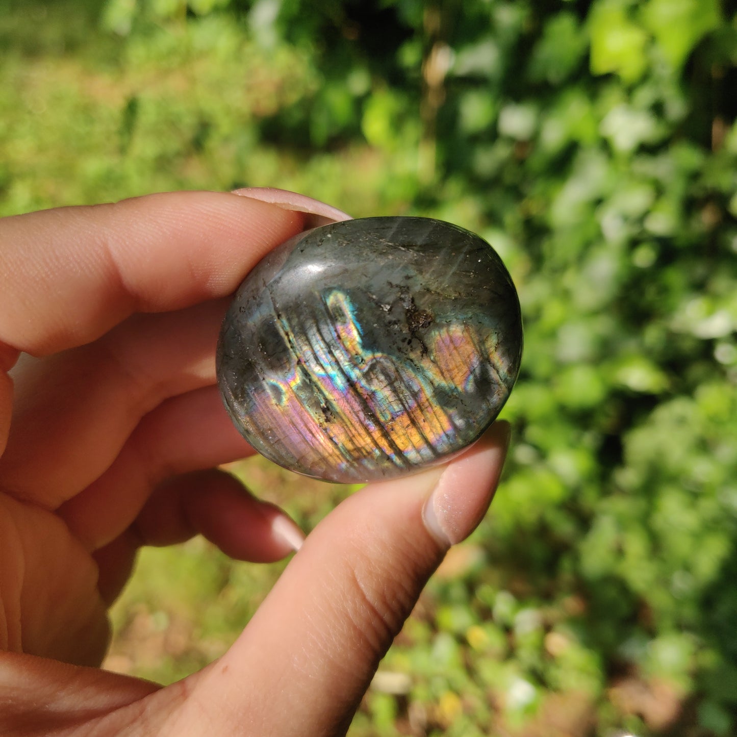 Labradorite Palm Stone (#M14)