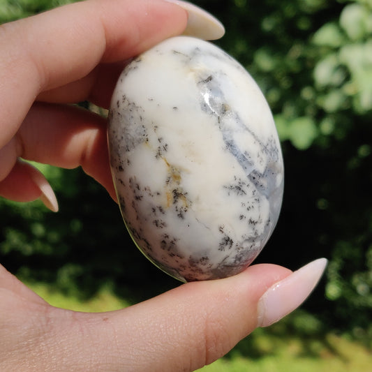 Dendritic Opal Palm Stone (#27)
