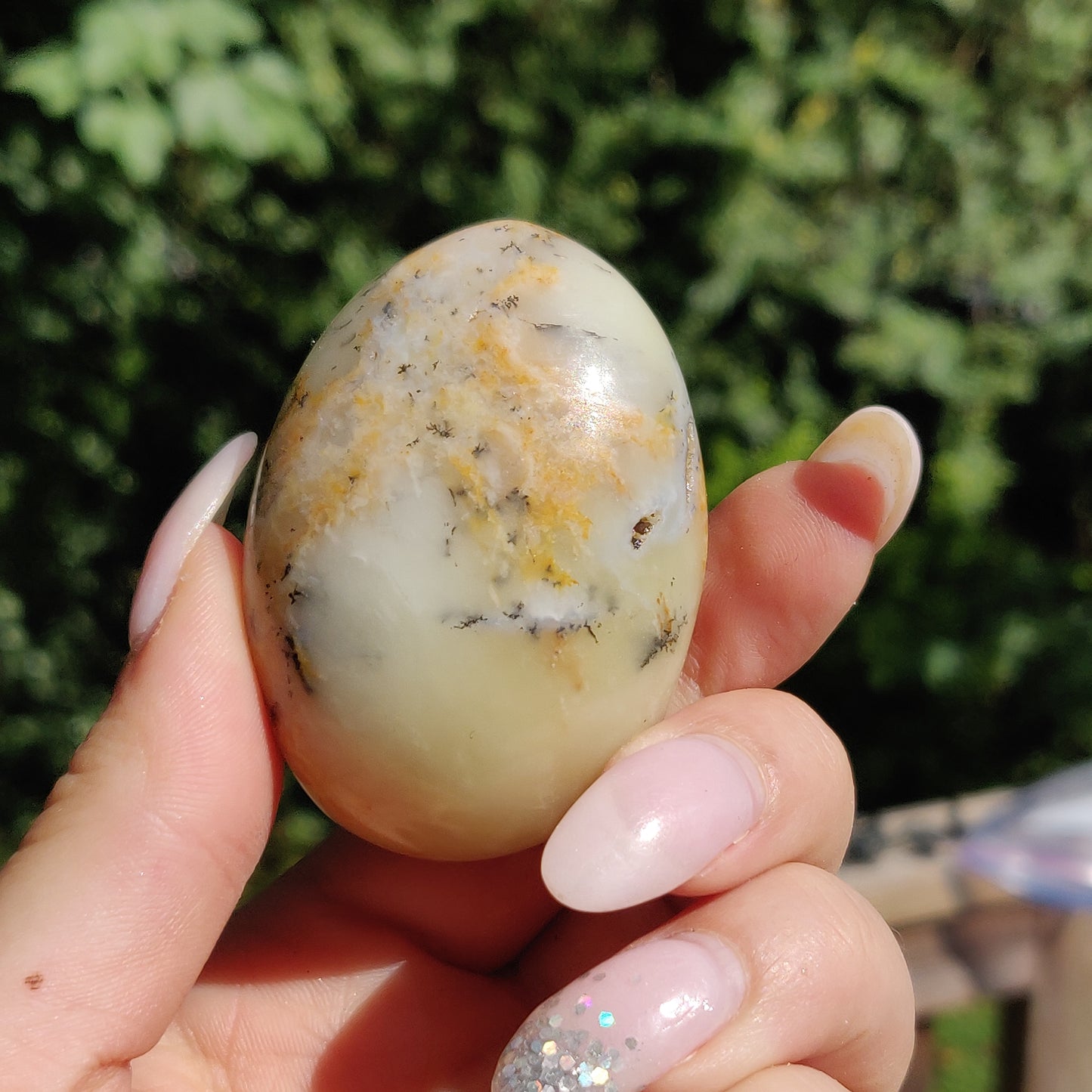 Dendritic Opal Palm Stone (#25)