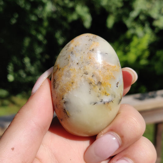Dendritic Opal Palm Stone (#25)