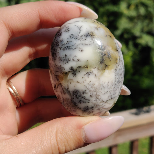 Dendritic Opal Palm Stone (#28)