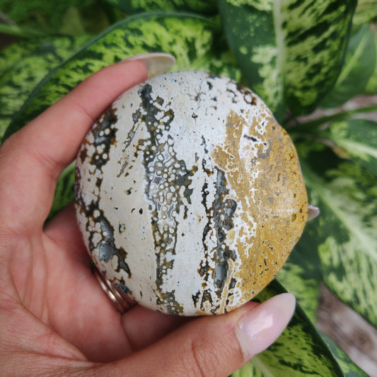 Ocean Jasper Palm Stone (#1)