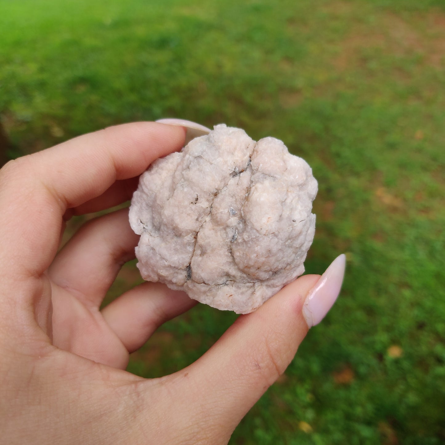 Pink Amethyst Geode (#J3)