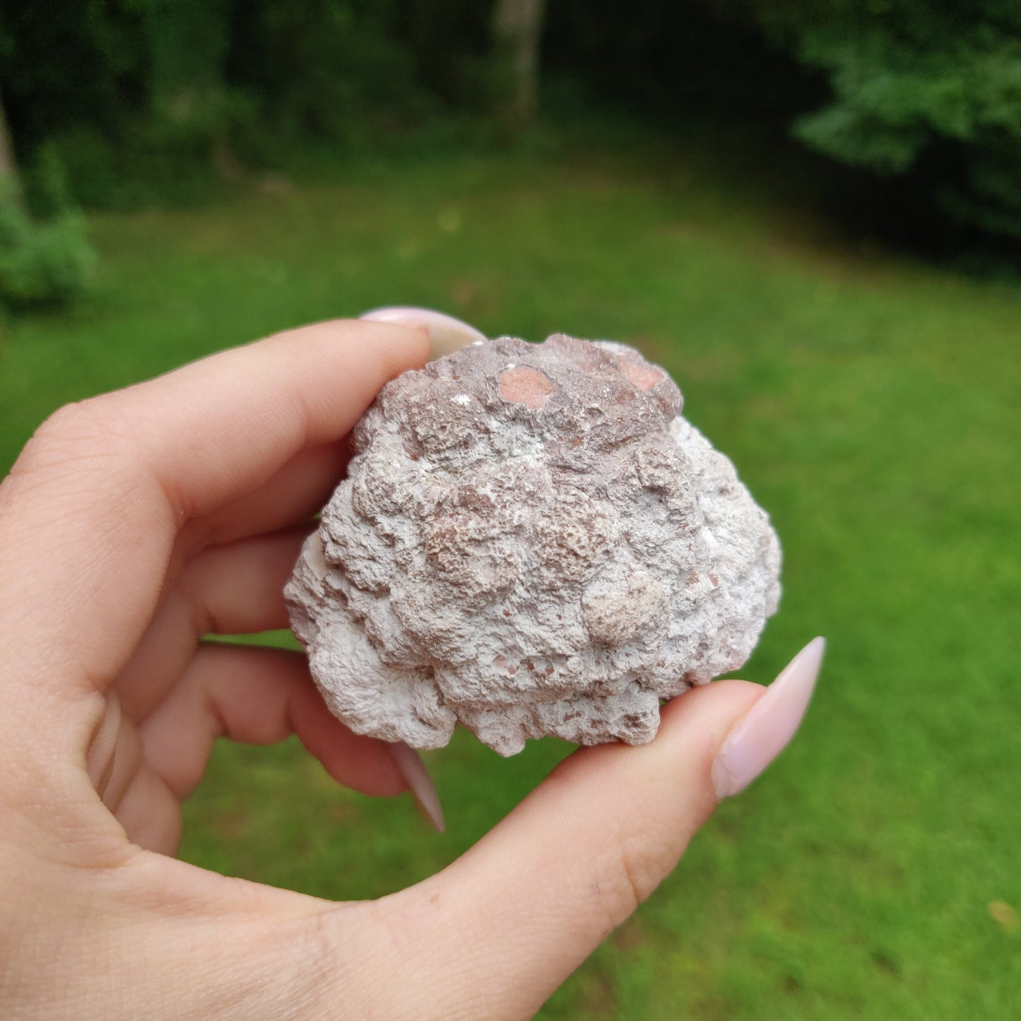 Pink Amethyst Geode (#J2)