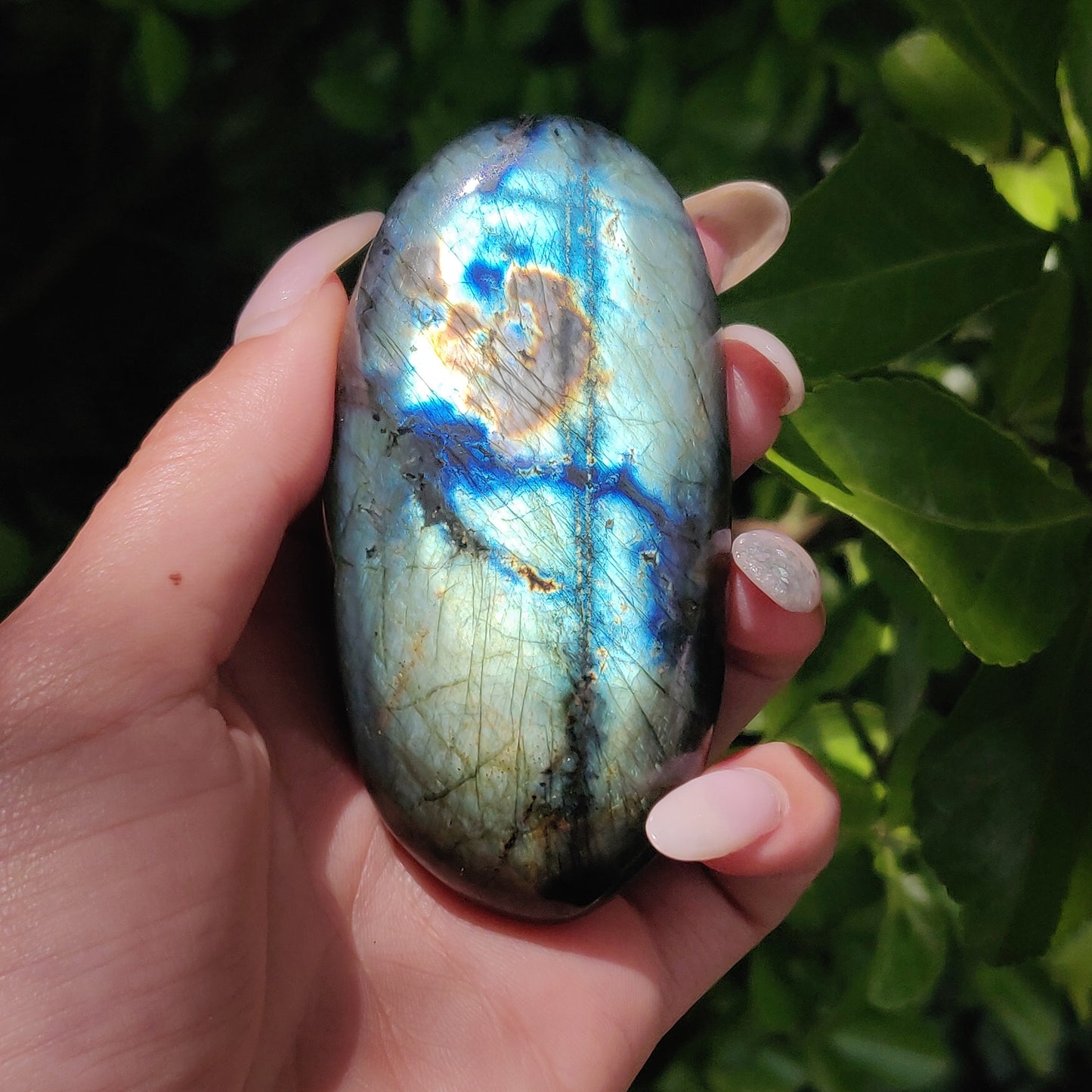 Labradorite Palm Stone (#E107)