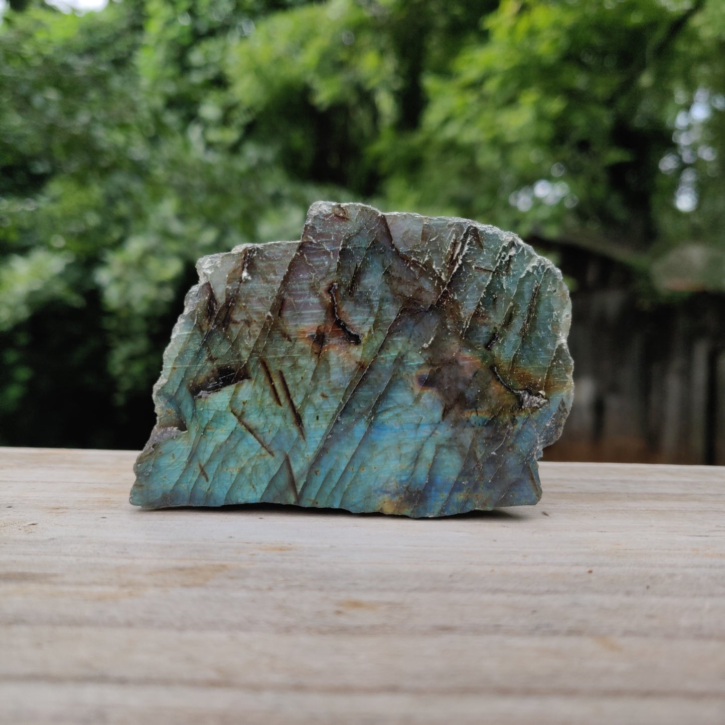 Labradorite Slab (#J11)