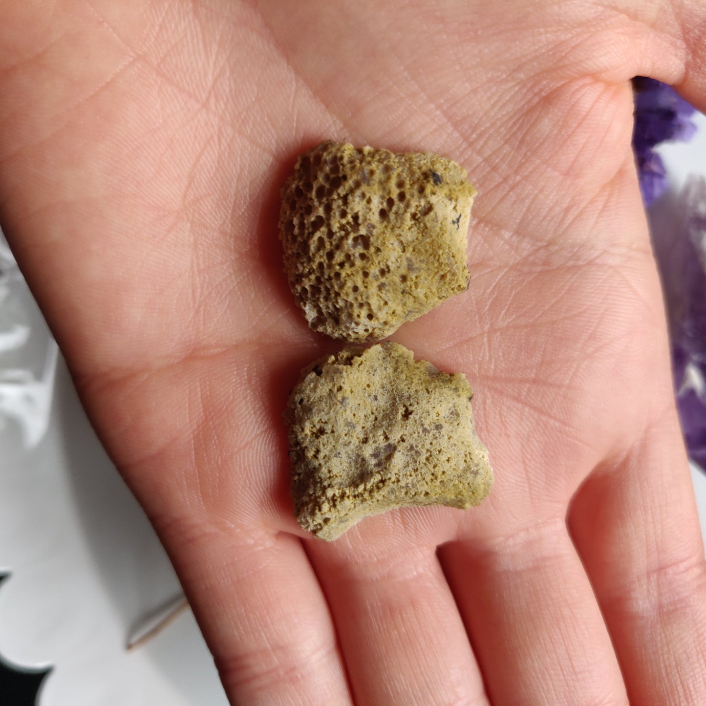 Tabasco Geode Pair (#V2)
