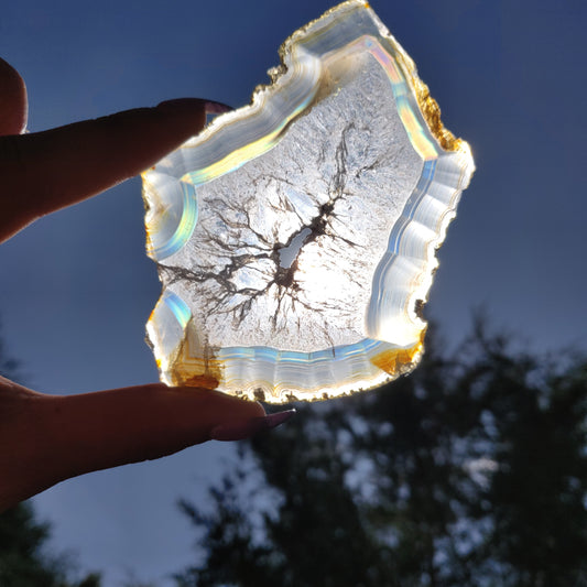 3.75" Iris Agate Slice (#16) - Simply Affinity