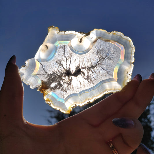 4" Iris Agate Slice (#17) - Simply Affinity