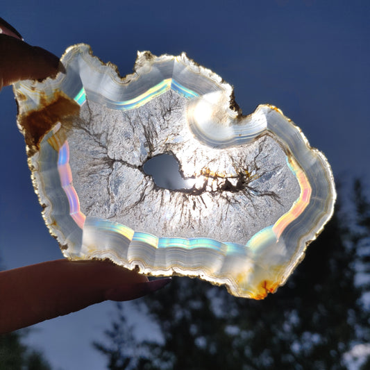 4" Iris Agate Slice (#18) - Simply Affinity