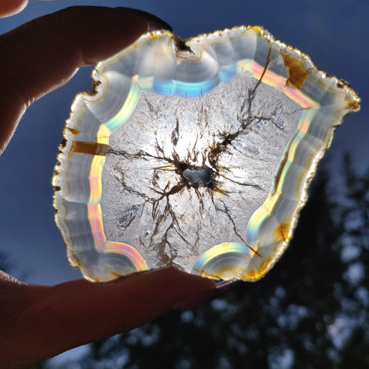 3.5" Iris Agate Slice (#19) - Simply Affinity