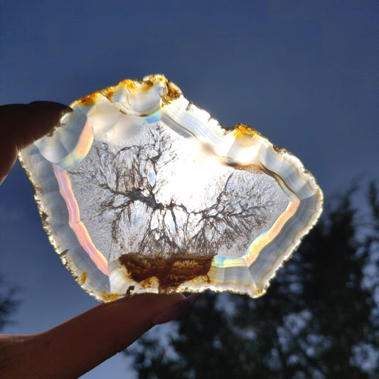 4" Iris Agate Slice (#20) - Simply Affinity