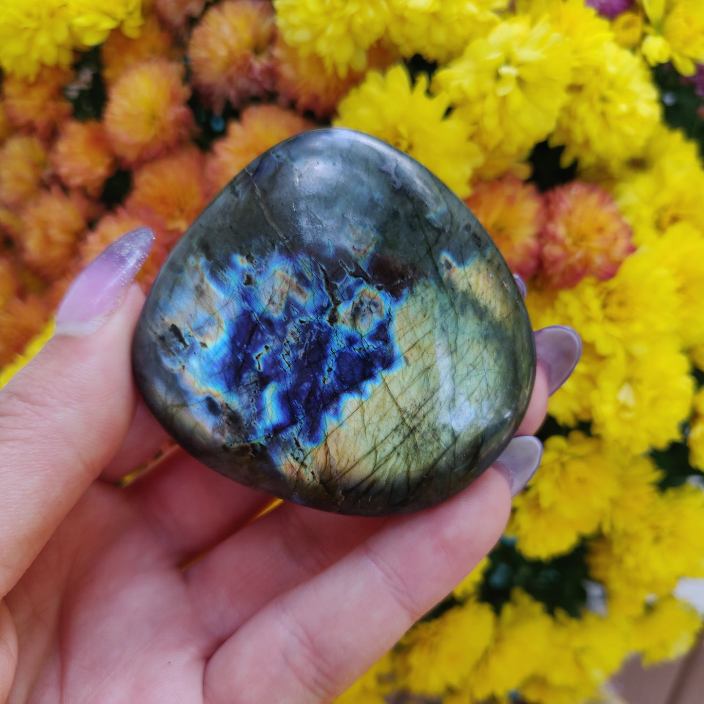 Labradorite Palm Stone (#A8)