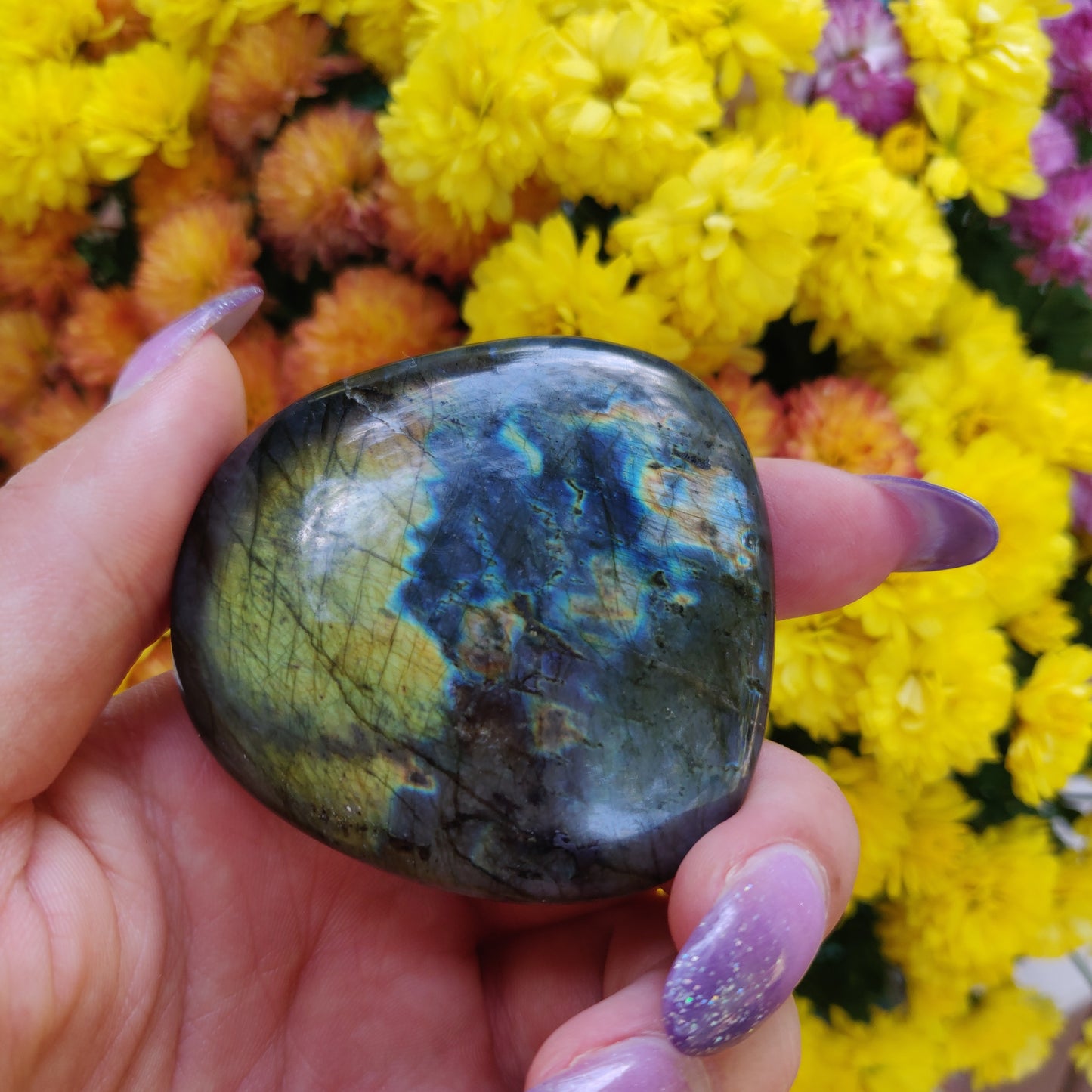 Labradorite Palm Stone (#A8)