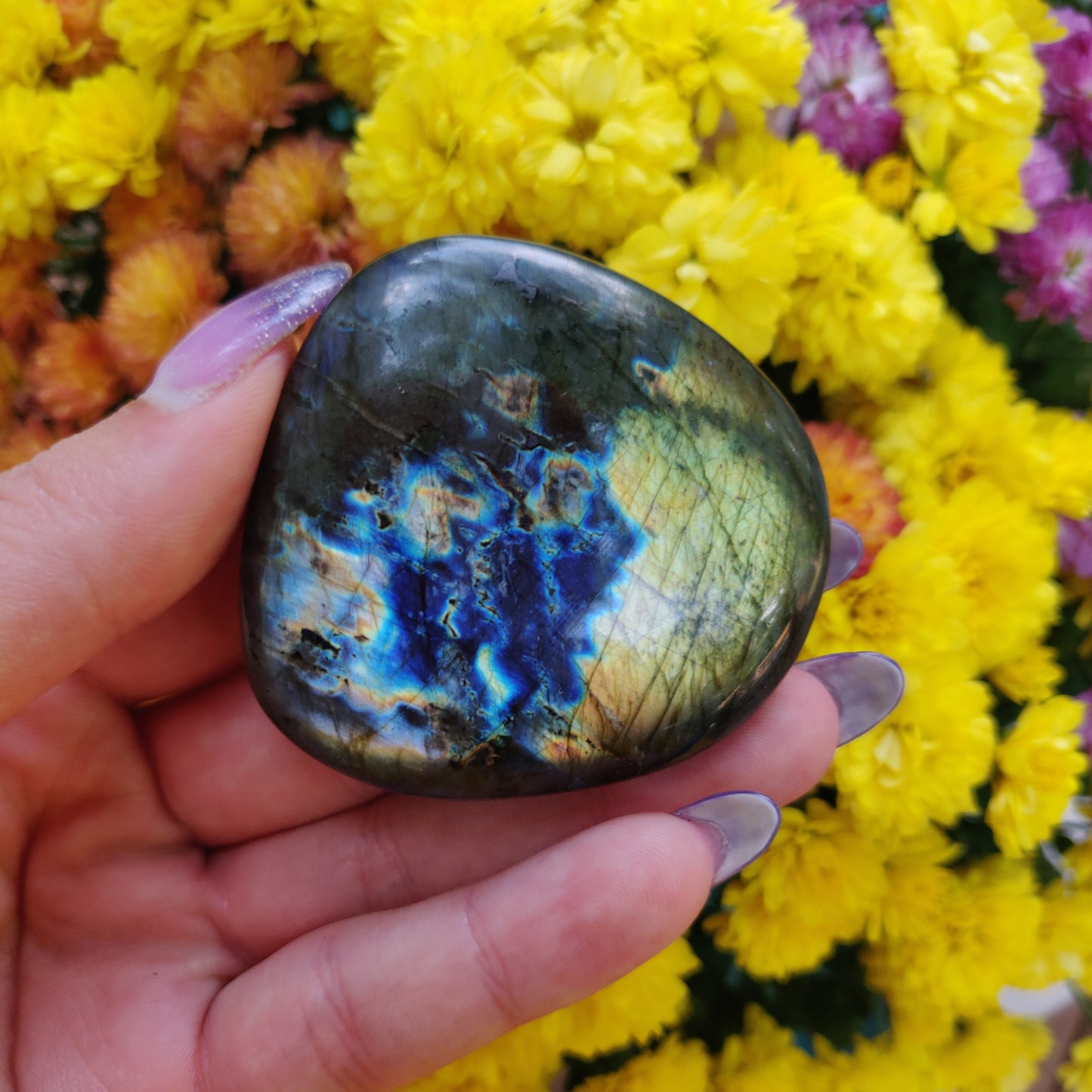 Labradorite Palm Stone (#A8)