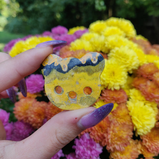 Bumblebee Jasper Bear (#A6)