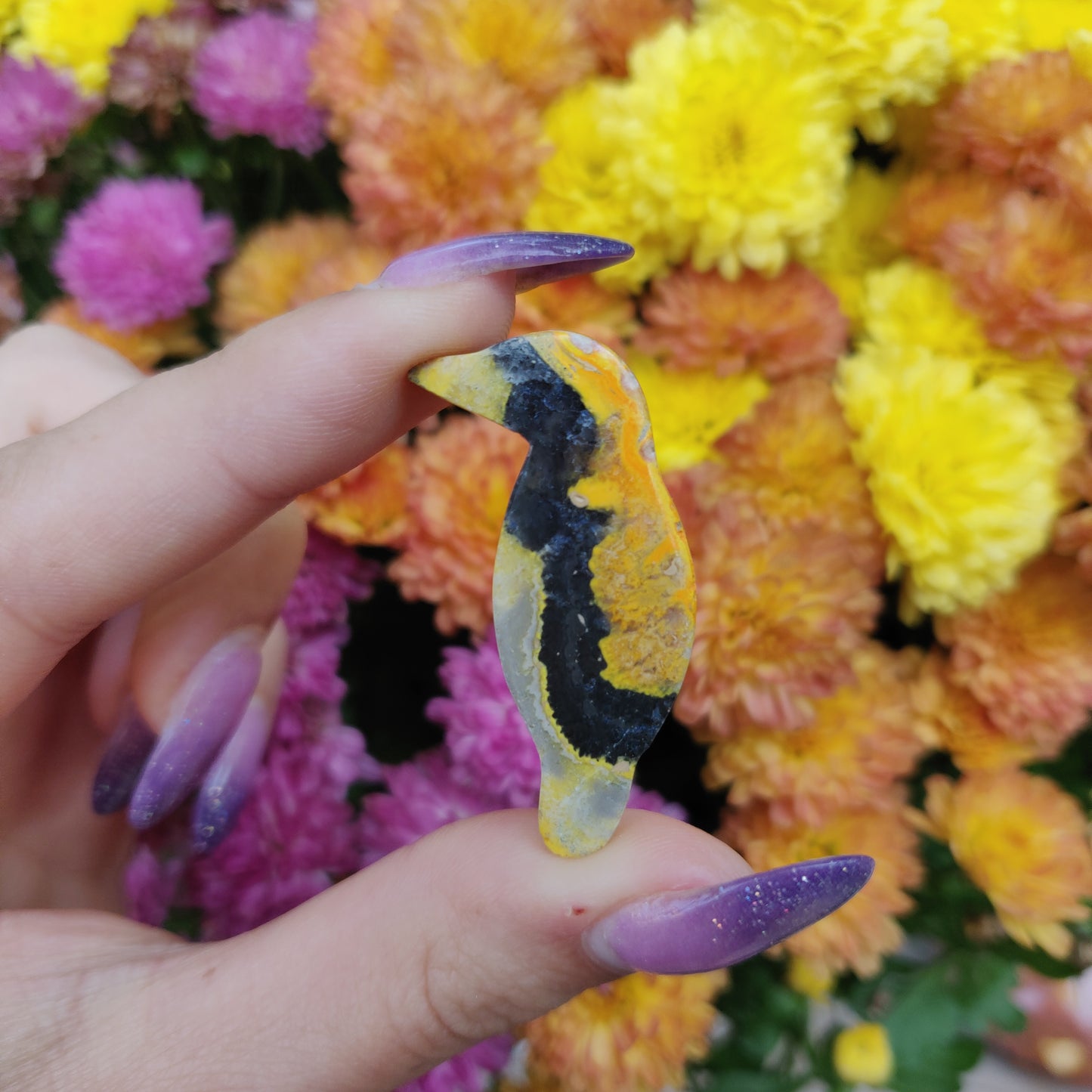 Bumblebee Jasper Parrot (#A7)