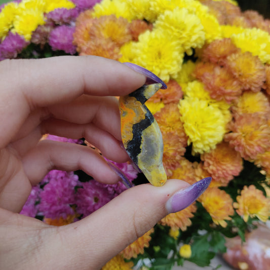 Bumblebee Jasper Parrot (#A7)