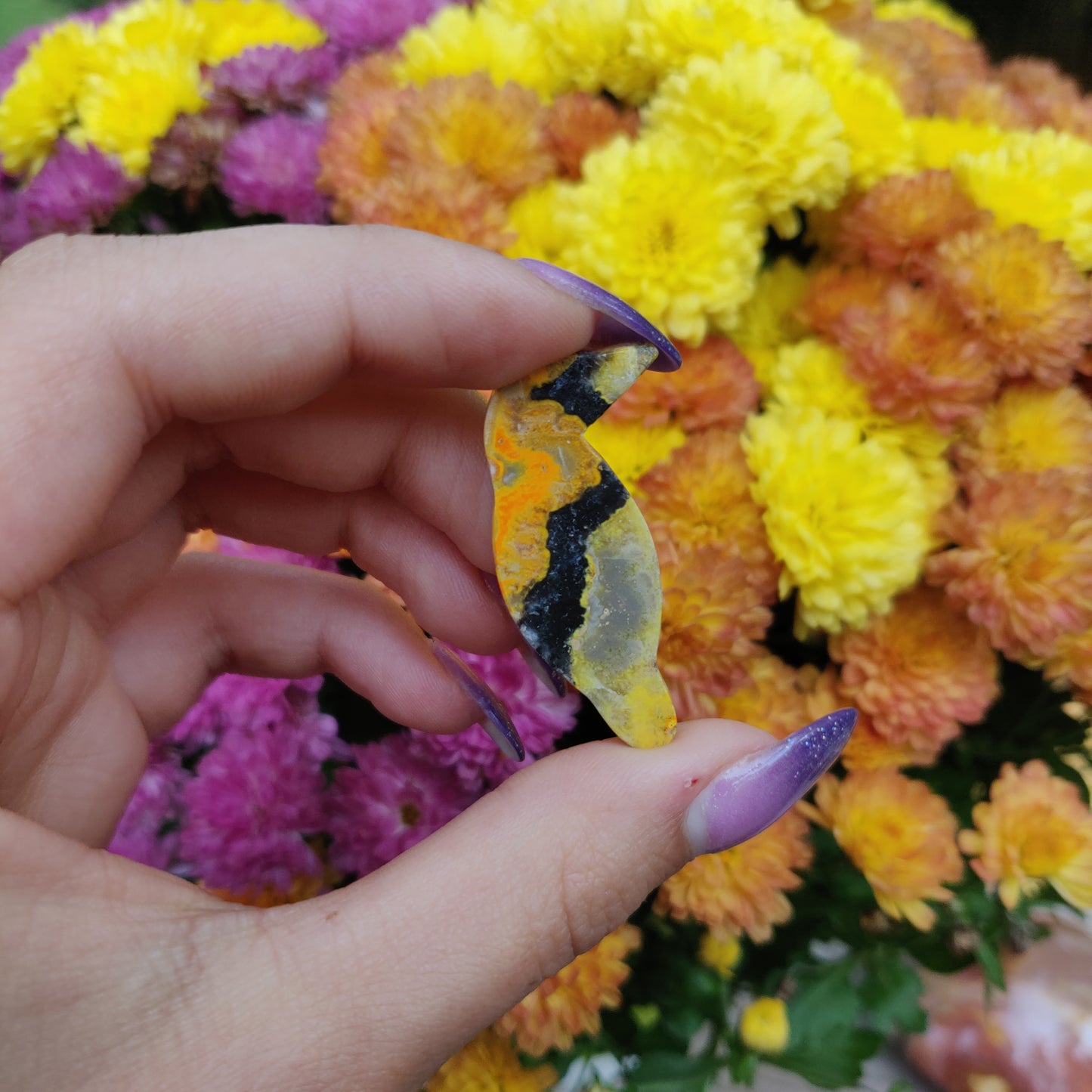 Bumblebee Jasper Parrot (#A7)