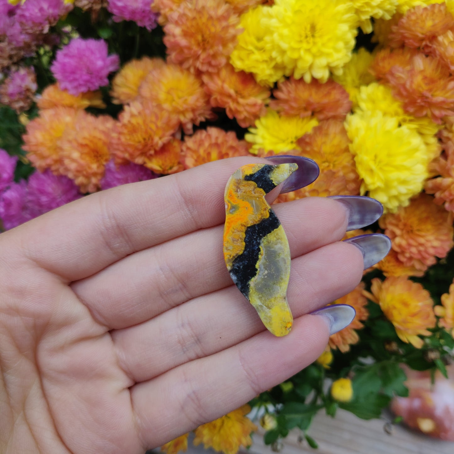 Bumblebee Jasper Parrot (#A7)
