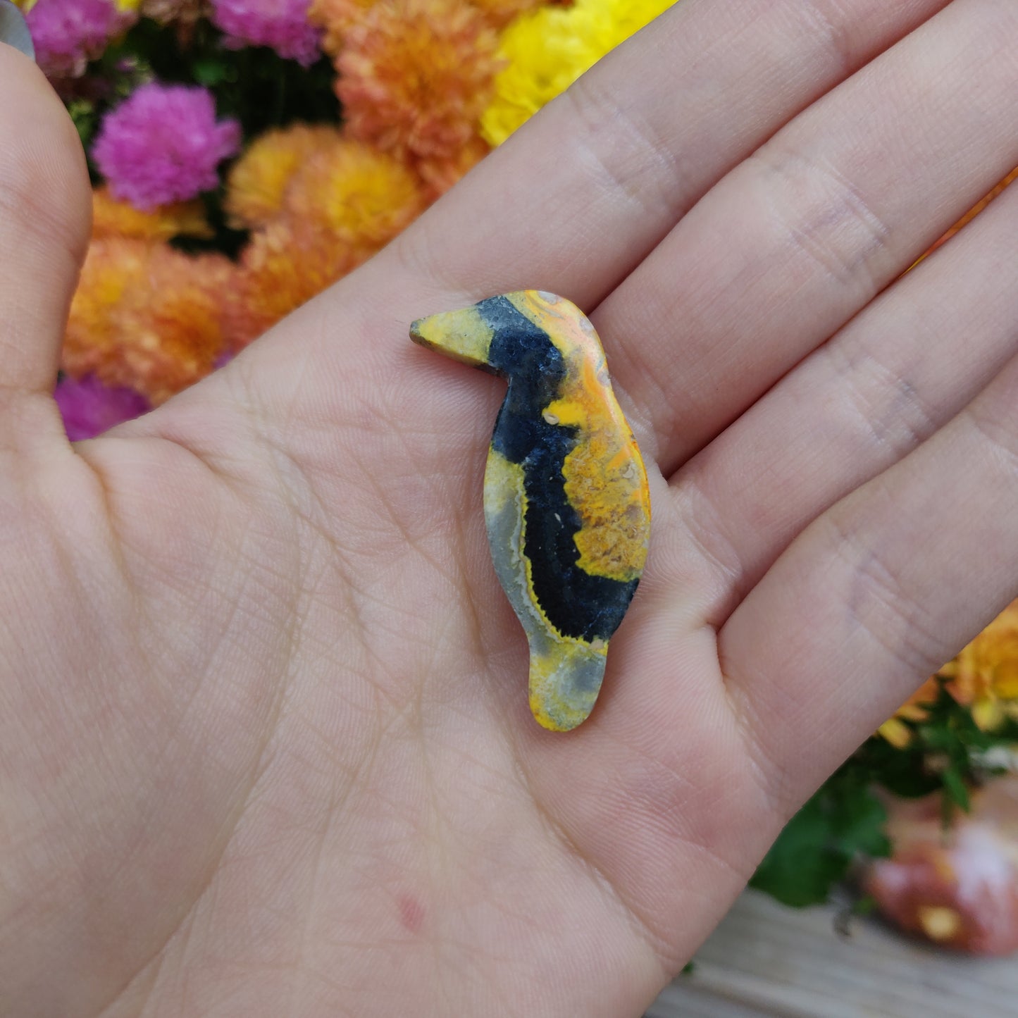 Bumblebee Jasper Parrot (#A7)