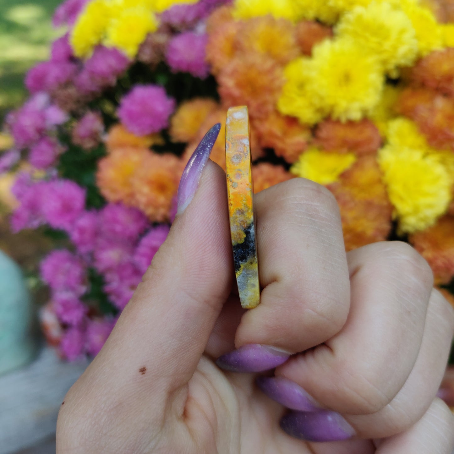 Bumblebee Jasper Parrot (#A7)