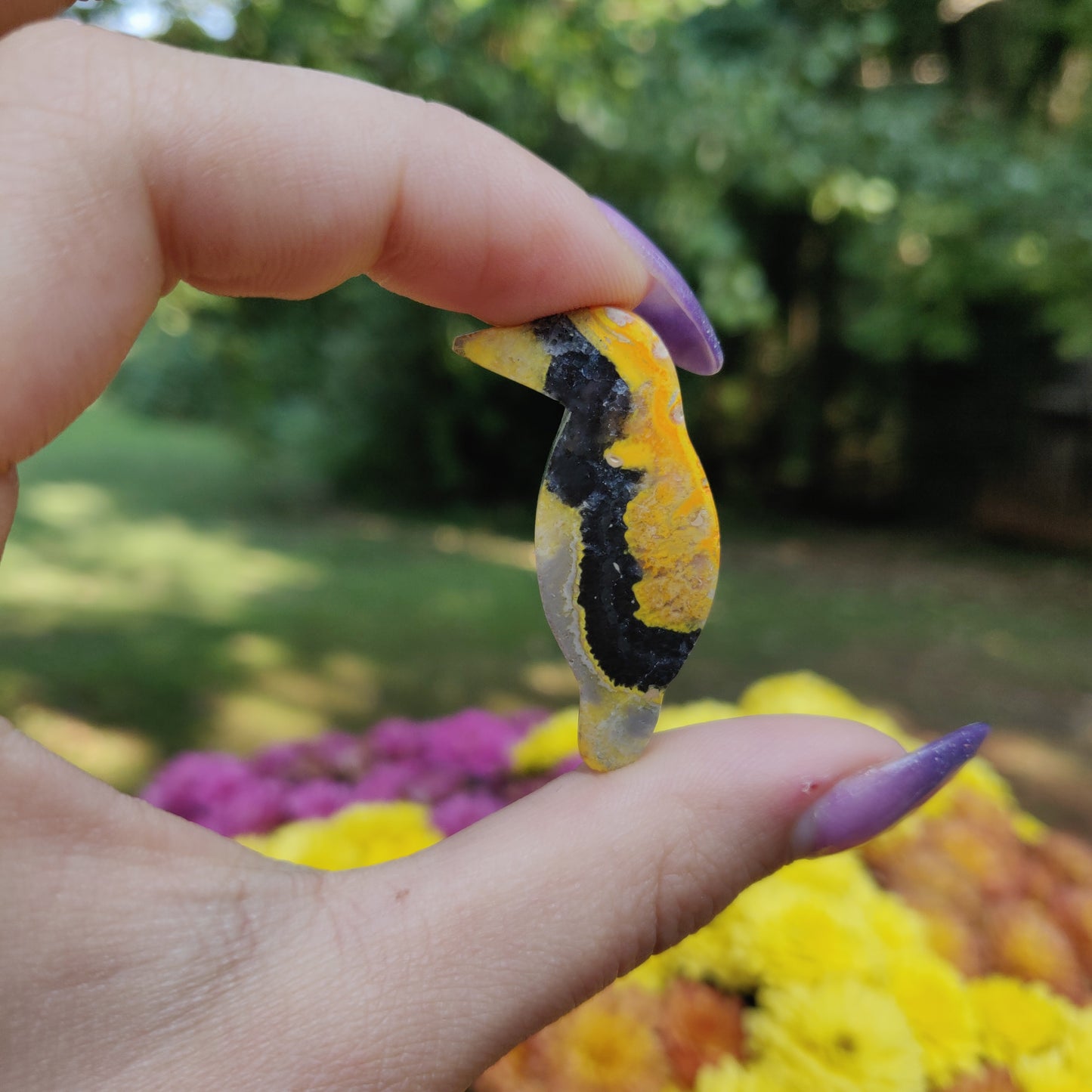 Bumblebee Jasper Parrot (#A7)