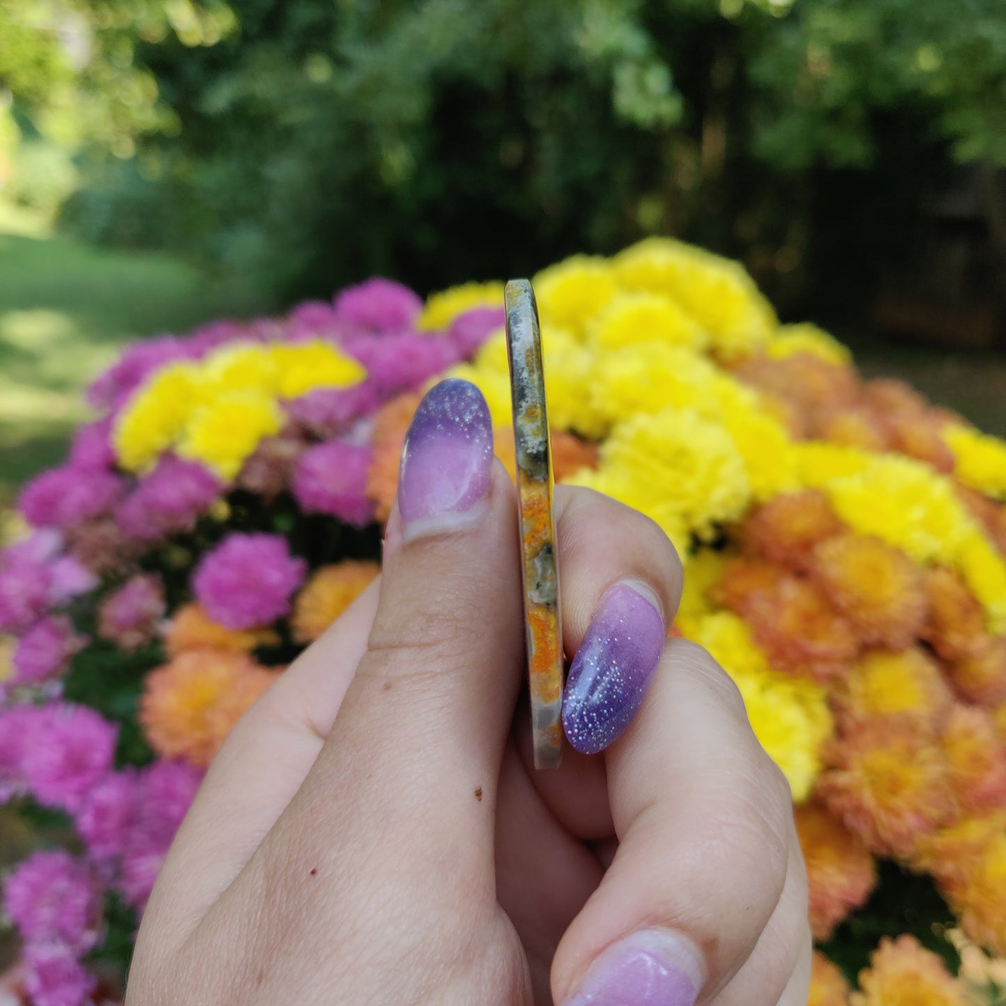 Bumblebee Jasper Cabochon (#A1)