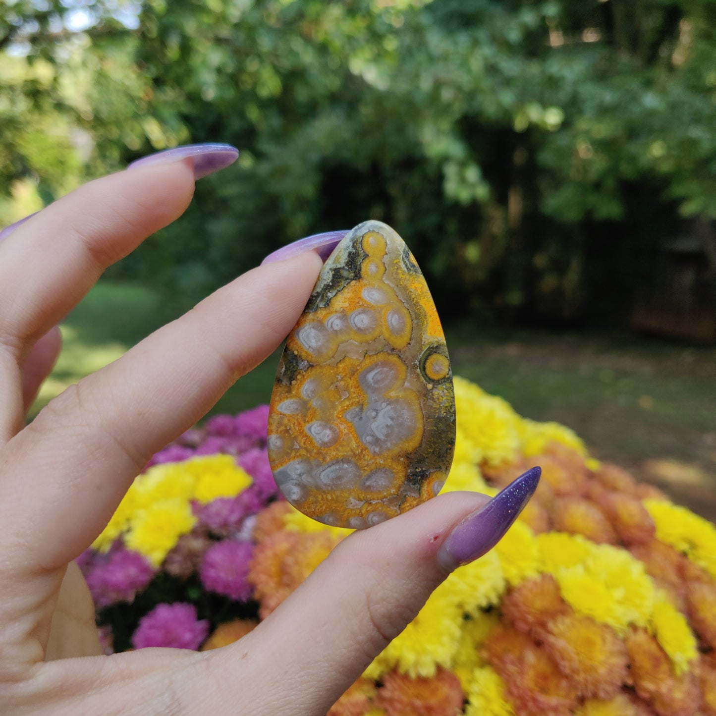 Bumblebee Jasper Cabochon (#A1)