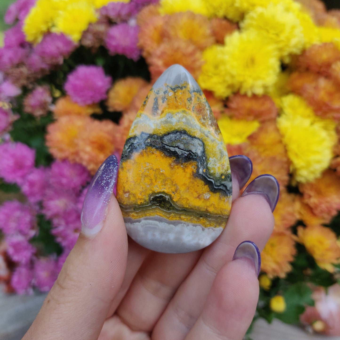 Bumblebee Jasper Cabochon (#A5)